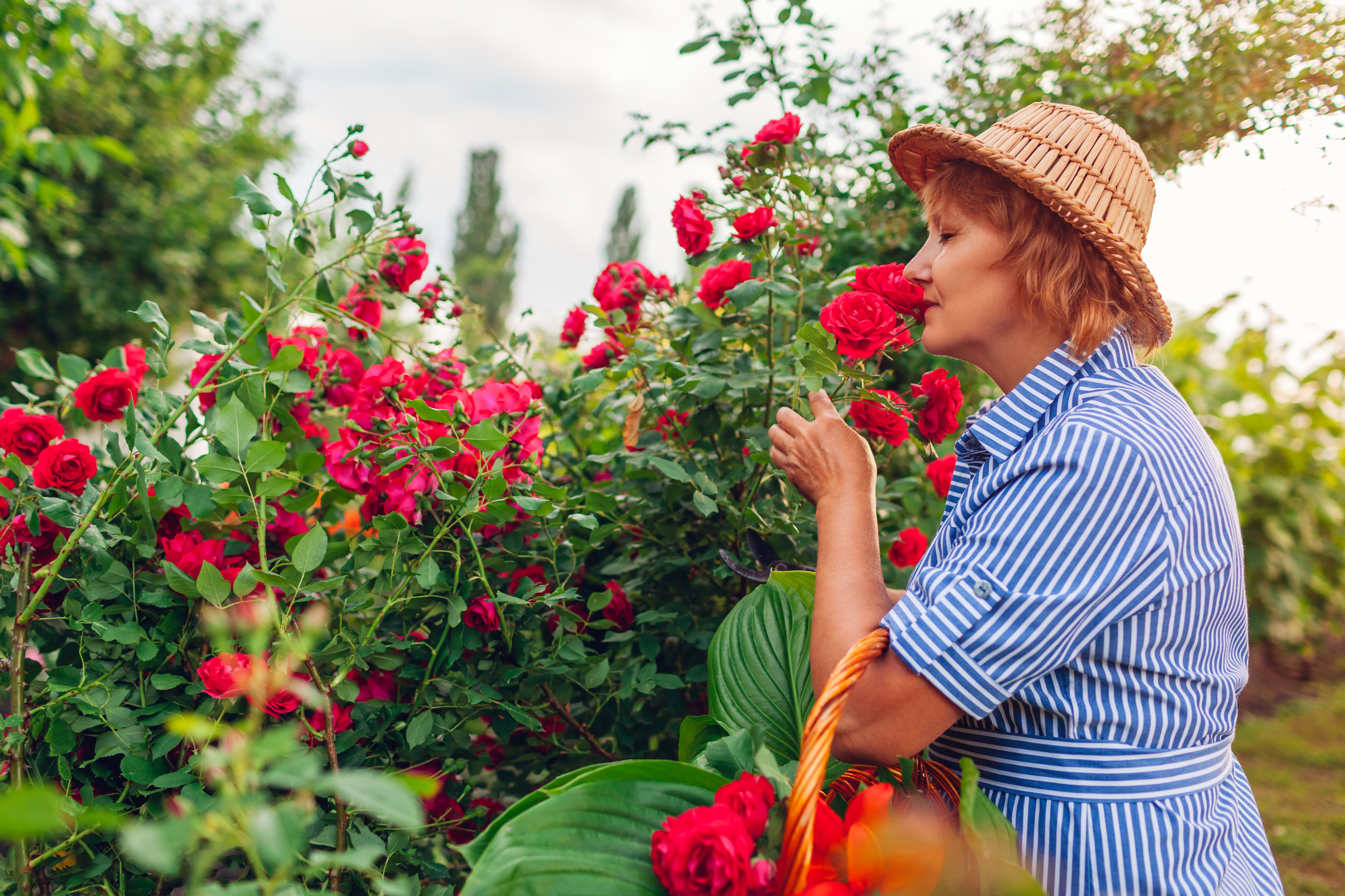 Qu'est ce que la formation carpe diem pour les malades Alzheimer