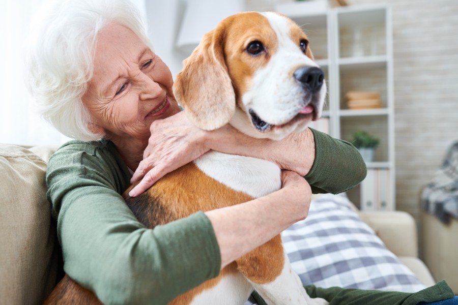 animaux-en-ehpad-:-bien-être-des-résidents