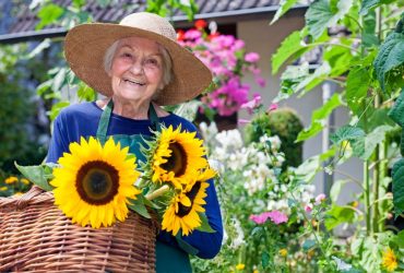 Le-jardin-thérapeutique-:-un-réel-bienfait-pour-les-seniors