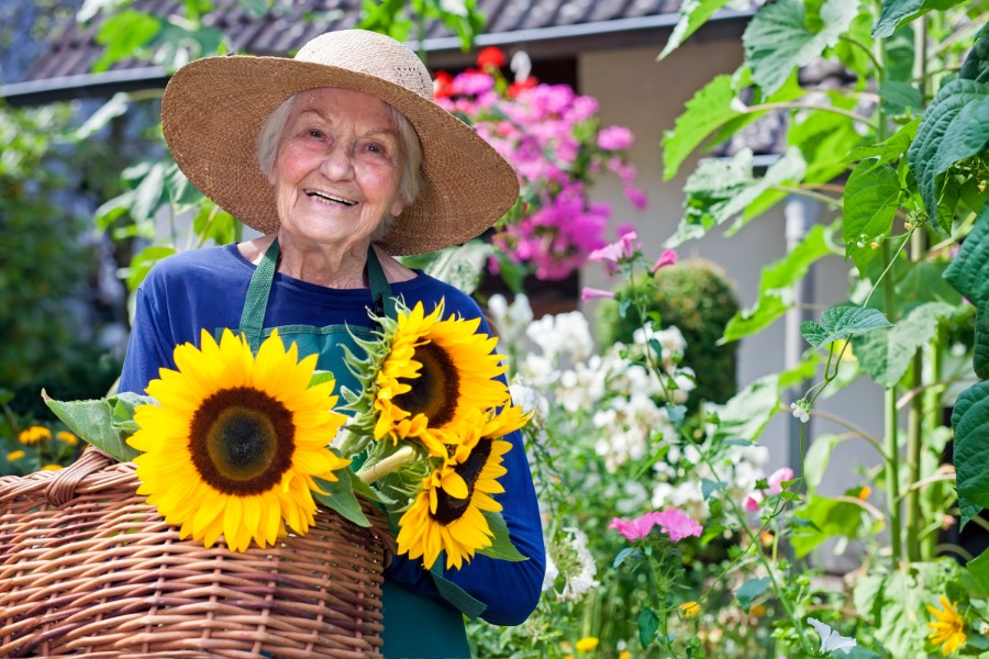 Le-jardin-thérapeutique-:-un-réel-bienfait-pour-les-seniors